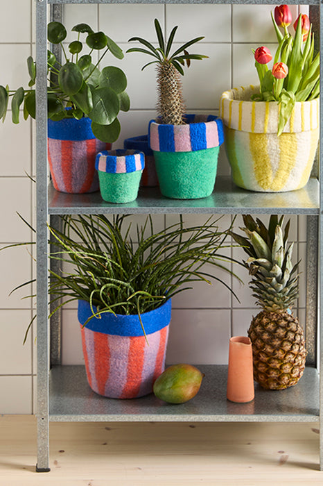 Cache-pot - Carnival (M)