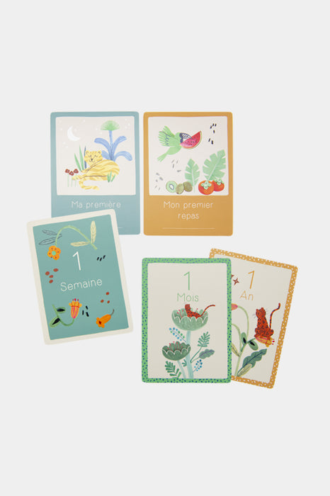 Cartes Mes 12 premiers mois - La forêt Mawa
