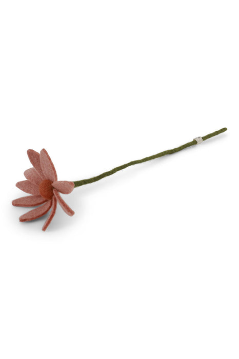 Fleur en laine - Cosmos (light peach)