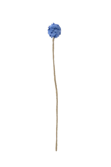 Fleur en laine - Craspedia bleu
