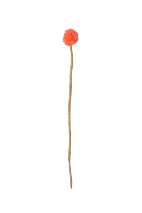 Fleur en laine - Craspedia corail pop