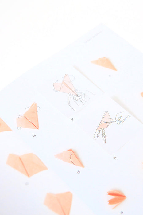 Livre - L'origami comme par magie (Tome 1)